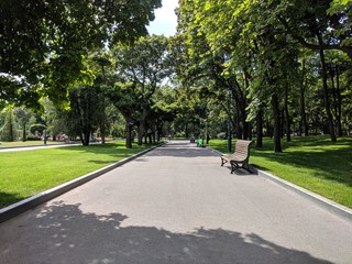 Park with beautiful lawns