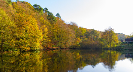 Fototapeta na wymiar Trees in autumn colour overlooking a lake