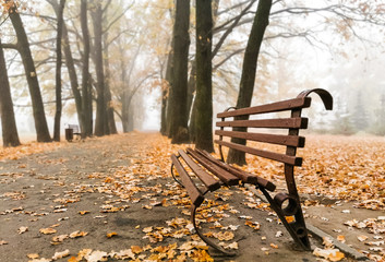 Wood bench outdoors on a winter autumn day. Warm light makes all the fallen dead leaves shine with a reddish and yellowish color.