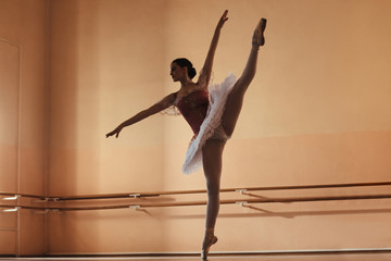 Only a dedicated ballerina becomes prima ballerina!