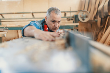 Skilled carpenter cutting a piece of wood in his woodwork workshop, using a circular saw, and...