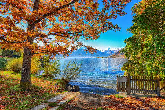 Spectacular autumn view of lake and trees in city park of Sell Am See