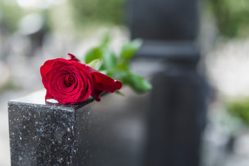 Religious tradition to put one flower in memory of the deceased on the granite slab of the grave in...