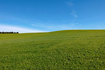 Grüne Wiese und blauer Himmel bei Füssen im Allgäu
