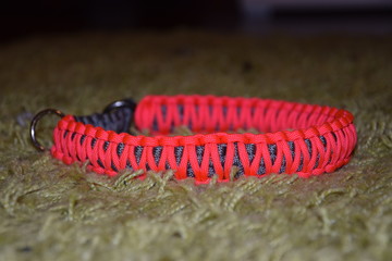The beautiful collar out of paracord for each breed of dog.