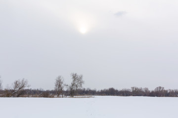 Winter landscape, snow blizzard in the field.