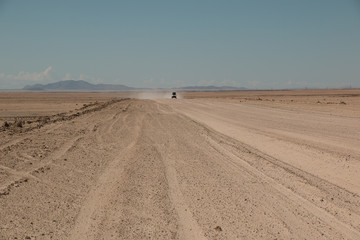 Fototapeta na wymiar road in desert with car comming, Namib-Naukluft 