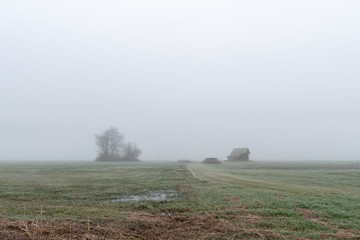Naklejka na ściany i meble Landschaft im Nebel