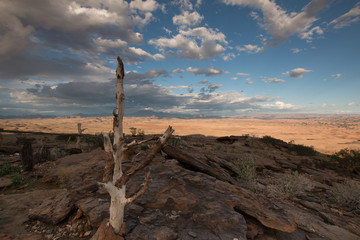 Ein Wolkanband teilt das Guab Valley in Namibia in Sonne und Schatten auf; ein toter Baumstamm im Vordergrund  - obrazy, fototapety, plakaty