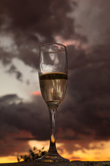 glass of wine on a background of vineyard