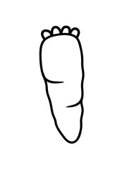 möhre knabbern niedliche karotte 