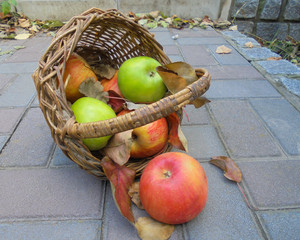 fresh apples in a basket