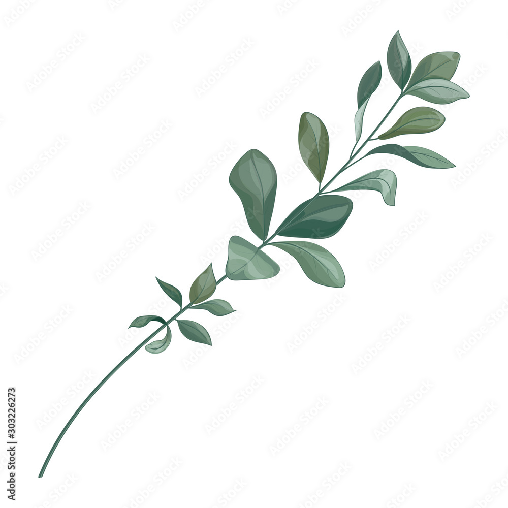 Wall mural Wedding invitation with leaves eucalyptus, watercolor, isolated on white. Vector Watercolour.