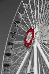 Ferris wheel at an amusement park