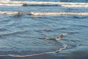 Foamy mediterranean sea waves on Valencia city beach