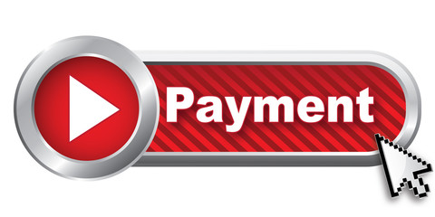 payment icon