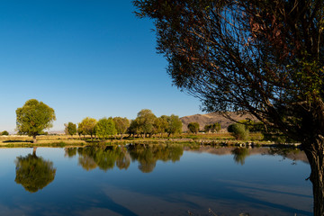 Fototapeta na wymiar trees reflection on lake