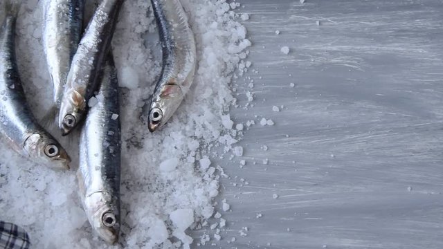 Preparing fresh caught anchovies. Healthy raw seafood