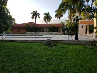 Obraz premium house in park