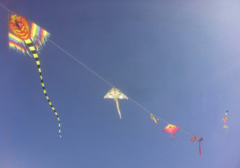 Colorful kites in the blue sky