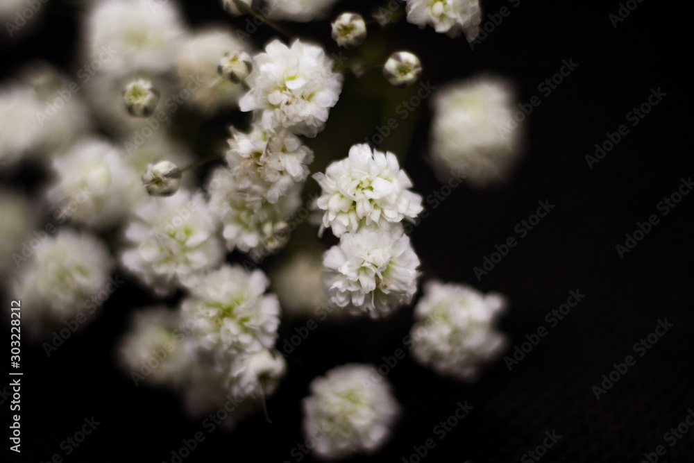 Wall mural background with white flowers