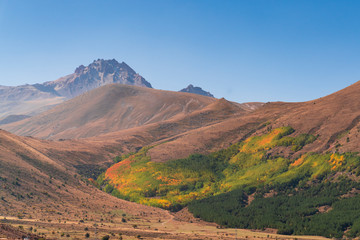 Erciyes Mountain and green, yellow trees