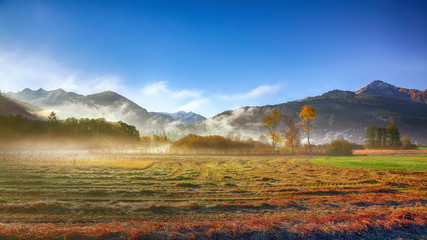 Spectacular autumn view of meadow in morning mist near Sell Am See