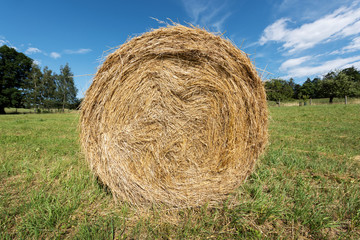 Round bale of hay on meadow