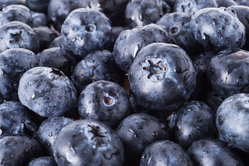 Tasty blueberry background