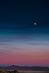 Joshua Tree Moonrise