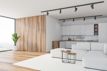 Marble and wooden kitchen and living room