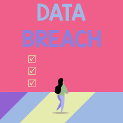 Word writing text Data Breach. Business photo showcasing incident in which sensitive or confidential data is copied Back view young long hair woman holding big blank square announcement