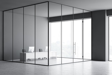 Gray minimalistic CEO office interior