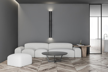 Gray living room with white sofa