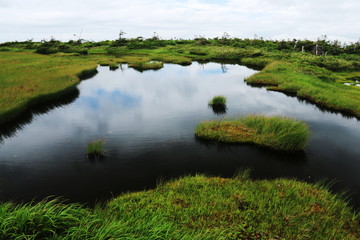 越後　平ヶ岳山頂への道　池ノ岳湿原　姫ノ池