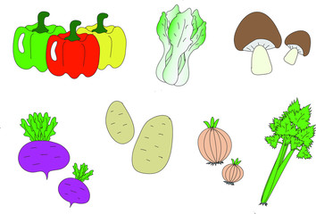 Isolate of Vegetables include of chilli, Chinese cabbage, mushroom, Beetroot, potato, onion and Celery.