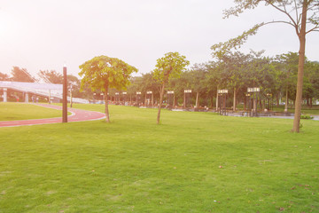 Fototapeta na wymiar Empty green field in the park,Jiangmen,Guangdong,China.