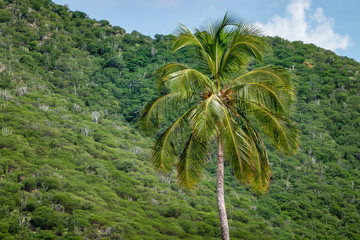 Fototapeta na wymiar Playas de Santa Marta Magdalena en Colombia, turismo en el sector de Rodadero y Santa Marta