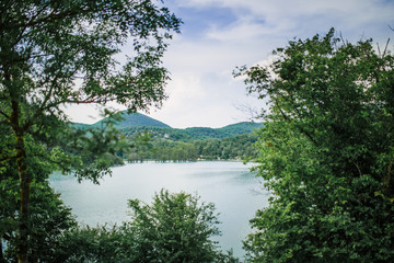Fototapeta na wymiar lake in deep forest