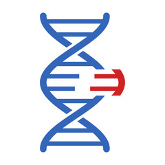DNA genetic engineering or gene / genome editing flat vector color icon for science apps and websites