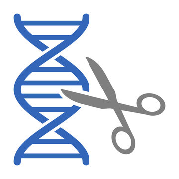 DNA gene / genome editing with scissors or eugenics flat vector color icon for science apps and websites