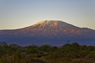Mount Kilimanjaro -the roof of Africa, Tanzania - obrazy, fototapety, plakaty