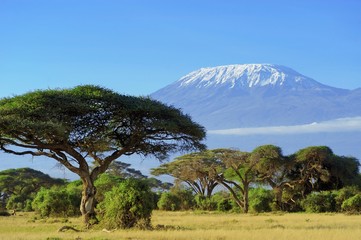 Mount Kilimanjaro - das Dach Afrikas, Tansania