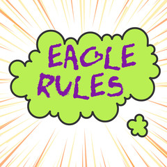 Handwriting text writing Eagle Rules. Conceptual photo a huge set of design rules which your layout needs to pass Asymmetrical uneven shaped format pattern object outline multicolour design