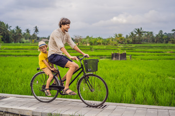 Fototapeta premium Father and son ride a bicycle on a rice field in Ubud, Bali. Travel to Bali with kids concept