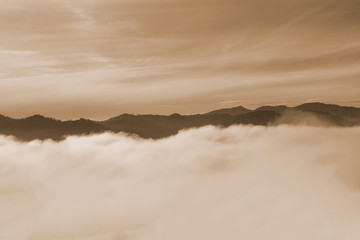 Sepia forest and mountains, landscape, fog and cloud mountain valley , Morning fog .