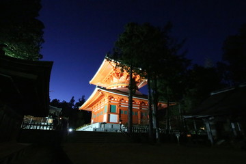 高野山の紅葉