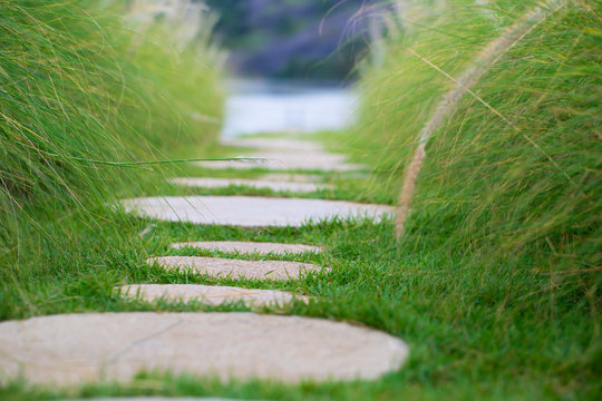Stone walkway on green grass