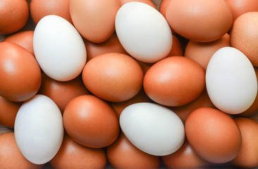 top view of brown chicken eggs and white duck eggs texture for background
