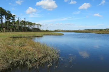 Beautiful view on the marshes and rivers of North Florida nature 